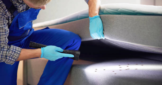 Wasp Removal Services in Greenwood, MS