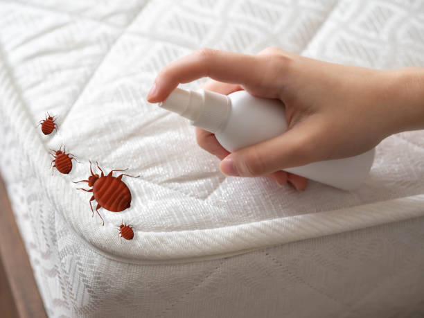 Best Exterminator Services  in Greenwood, MS
